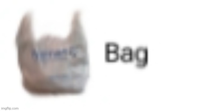 Bag | image tagged in bag | made w/ Imgflip meme maker