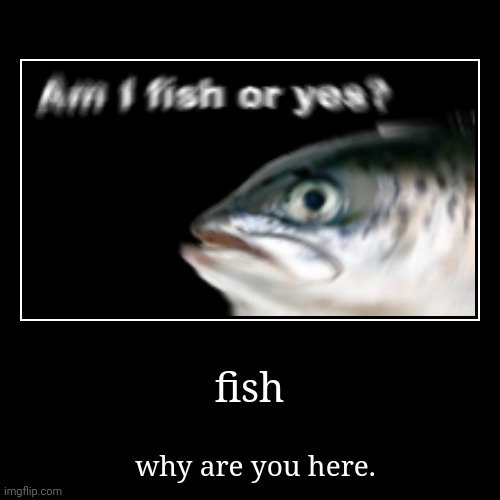 fish | why are you here. | image tagged in funny,demotivationals | made w/ Imgflip demotivational maker