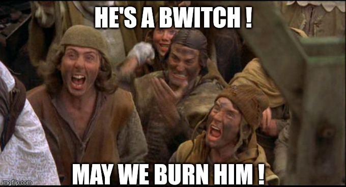 Burn her anyway | HE'S A BWITCH ! MAY WE BURN HIM ! | image tagged in burn her anyway | made w/ Imgflip meme maker