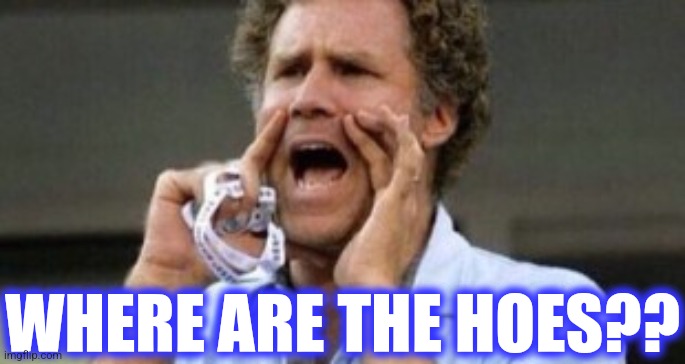 Will Farrell yelling | WHERE ARE THE HOES?? | image tagged in will farrell yelling | made w/ Imgflip meme maker