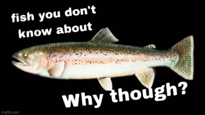fish? | image tagged in fish | made w/ Imgflip meme maker