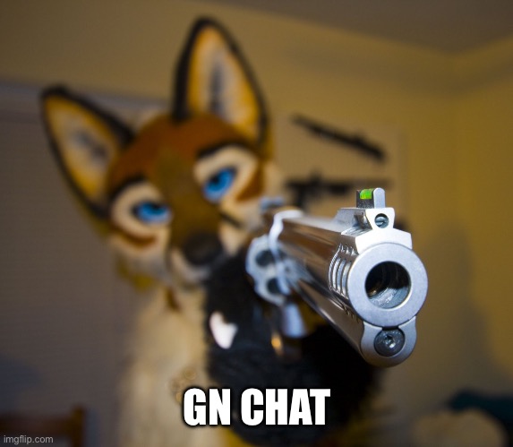 Furry with gun | GN CHAT | image tagged in furry with gun | made w/ Imgflip meme maker