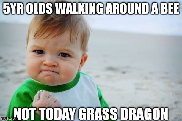 Success Kid Original | 5YR OLDS WALKING AROUND A BEE; NOT TODAY GRASS DRAGON | image tagged in memes,success kid original | made w/ Imgflip meme maker