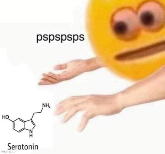 serotonin pspspsps | image tagged in serotonin pspspsps | made w/ Imgflip meme maker