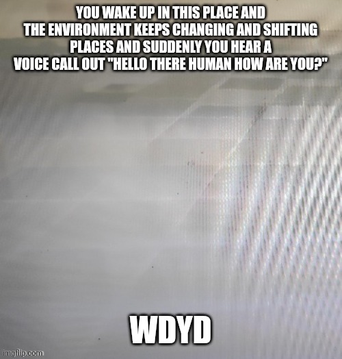 No romantic or joke rps without asking first | YOU WAKE UP IN THIS PLACE AND THE ENVIRONMENT KEEPS CHANGING AND SHIFTING PLACES AND SUDDENLY YOU HEAR A VOICE CALL OUT "HELLO THERE HUMAN HOW ARE YOU?"; WDYD | image tagged in roleplaying | made w/ Imgflip meme maker