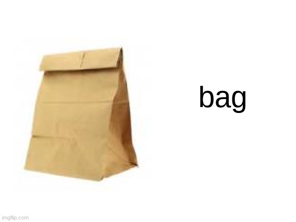 bag | bag | image tagged in bag | made w/ Imgflip meme maker