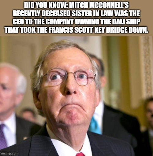 mitch mcconnell | DID YOU KNOW: MITCH MCCONNELL'S RECENTLY DECEASED SISTER IN LAW WAS THE CEO TO THE COMPANY OWNING THE DALI SHIP THAT TOOK THE FRANCIS SCOTT KEY BRIDGE DOWN. | image tagged in mitch mcconnell,republican,rino | made w/ Imgflip meme maker