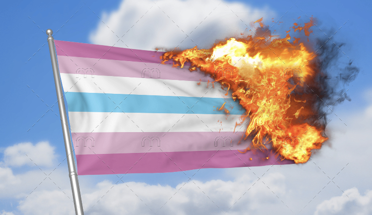 Burning the femboy flag Blank Meme Template