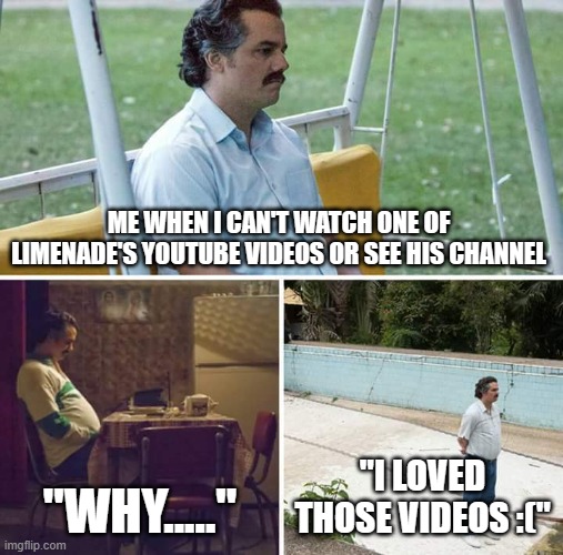 whyyyyyyy :( | ME WHEN I CAN'T WATCH ONE OF LIMENADE'S YOUTUBE VIDEOS OR SEE HIS CHANNEL; "WHY....."; "I LOVED THOSE VIDEOS :(" | image tagged in memes,sad pablo escobar | made w/ Imgflip meme maker