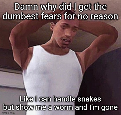 stressed cj temp | Damn why did I get the dumbest fears for no reason; Like I can handle snakes but show me a worm and I'm gone | image tagged in stressed cj temp | made w/ Imgflip meme maker