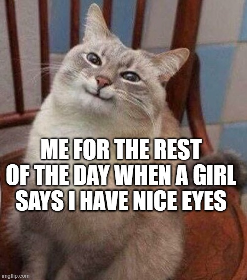 Smug waffle cat | ME FOR THE REST OF THE DAY WHEN A GIRL SAYS I HAVE NICE EYES | image tagged in smug waffle cat | made w/ Imgflip meme maker