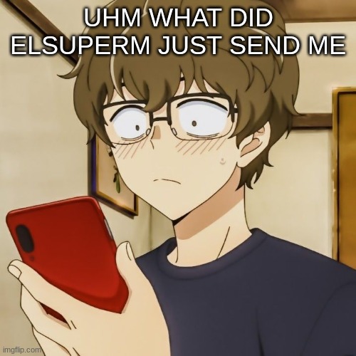 UHM WHAT DID ELSUPERM JUST SEND ME | image tagged in m | made w/ Imgflip meme maker