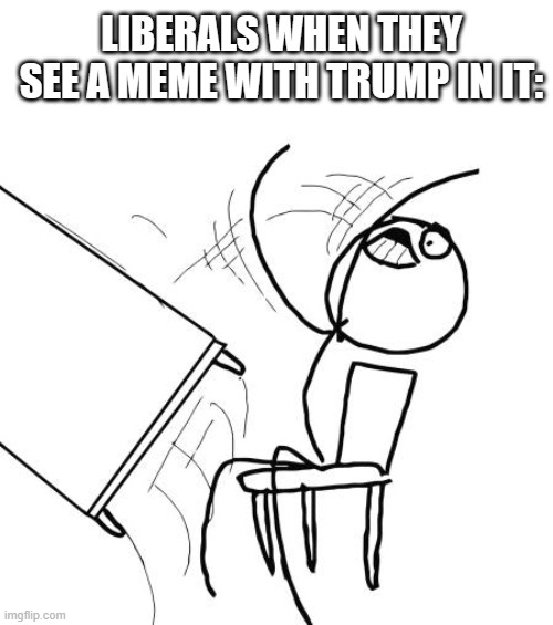 Libs... | LIBERALS WHEN THEY SEE A MEME WITH TRUMP IN IT: | image tagged in memes,table flip guy,rage,liberals,dank memes | made w/ Imgflip meme maker