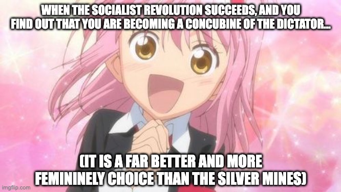 This is why we need socialism | WHEN THE SOCIALIST REVOLUTION SUCCEEDS, AND YOU FIND OUT THAT YOU ARE BECOMING A CONCUBINE OF THE DICTATOR... (IT IS A FAR BETTER AND MORE FEMININELY CHOICE THAN THE SILVER MINES) | image tagged in aww anime girl,socialism,commie,pinko,feminine,revolution | made w/ Imgflip meme maker