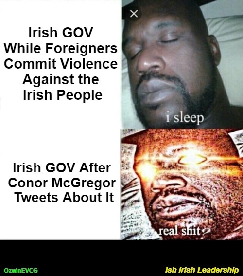 Ish Irish Leadership | image tagged in ireland,irish,conor mcgregor,occupied ireland,liberal logic,clown world | made w/ Imgflip meme maker