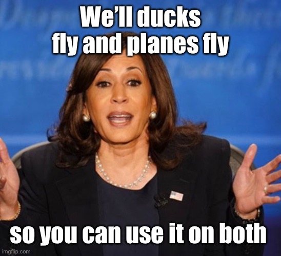 Kamala Harris | We’ll ducks fly and planes fly so you can use it on both | image tagged in kamala harris | made w/ Imgflip meme maker