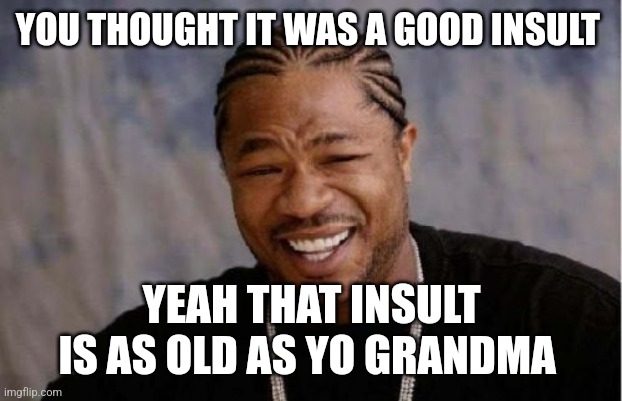 Yo Dawg Heard You | YOU THOUGHT IT WAS A GOOD INSULT; YEAH THAT INSULT IS AS OLD AS YO GRANDMA | image tagged in memes,yo dawg heard you | made w/ Imgflip meme maker