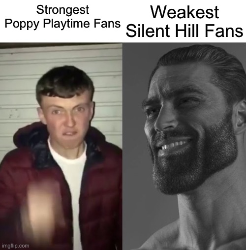 I just realise it not the game it the community itself | Weakest Silent Hill Fans; Strongest Poppy Playtime Fans | image tagged in average fan vs average enjoyer,memes,silent hill | made w/ Imgflip meme maker
