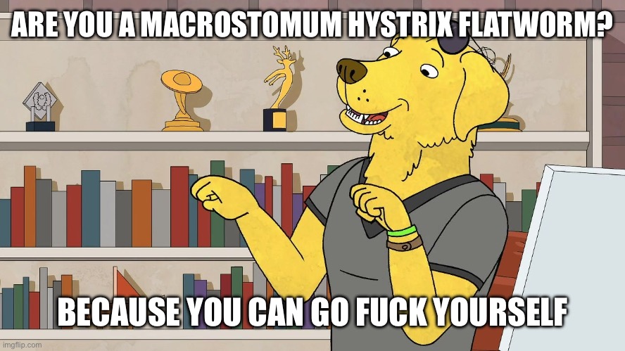 Mr Peanutbutter Later | ARE YOU A MACROSTOMUM HYSTRIX FLATWORM? BECAUSE YOU CAN GO FUCK YOURSELF | image tagged in mr peanutbutter later | made w/ Imgflip meme maker