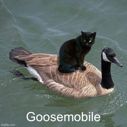 Goosemobile | Goosemobile | image tagged in black cat riding on a goose | made w/ Imgflip meme maker