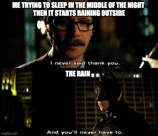 so peaceful. zzz | ME TRYING TO SLEEP IN THE MIDDLE OF THE NIGHT 
THEN IT STARTS RAINING OUTSIDE; THE RAIN | image tagged in i never said thank you | made w/ Imgflip meme maker