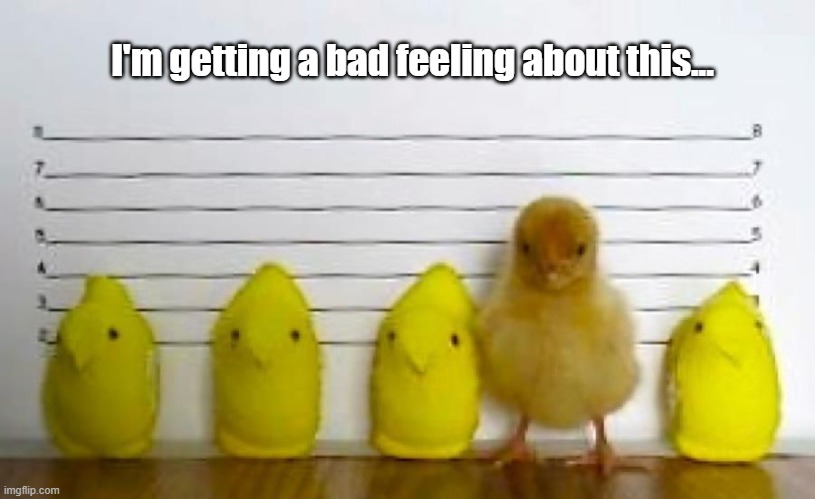 Police line up Easter version | I'm getting a bad feeling about this... | made w/ Imgflip meme maker