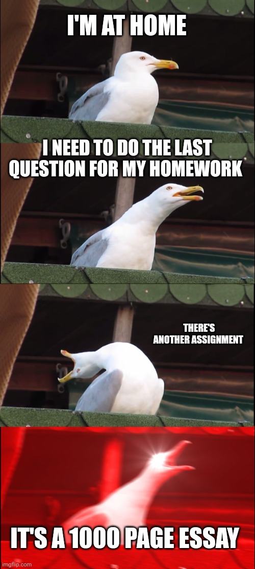 Inhaling Seagull | I'M AT HOME; I NEED TO DO THE LAST QUESTION FOR MY HOMEWORK; THERE'S ANOTHER ASSIGNMENT; IT'S A 1000 PAGE ESSAY | image tagged in memes,inhaling seagull | made w/ Imgflip meme maker