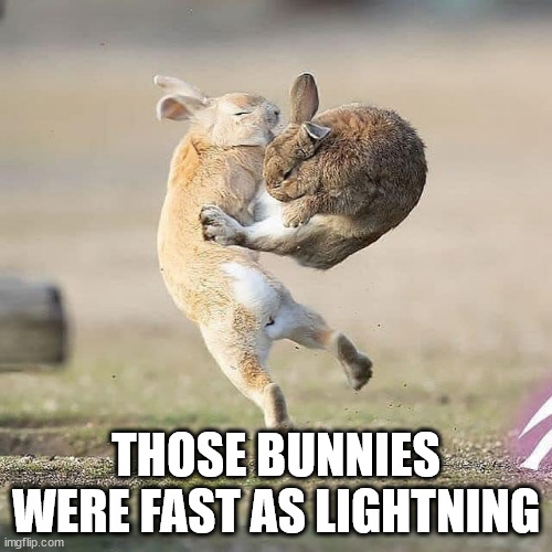 Kung-fu bunnies 2 | THOSE BUNNIES WERE FAST AS LIGHTNING | image tagged in kung-fu bunnies | made w/ Imgflip meme maker
