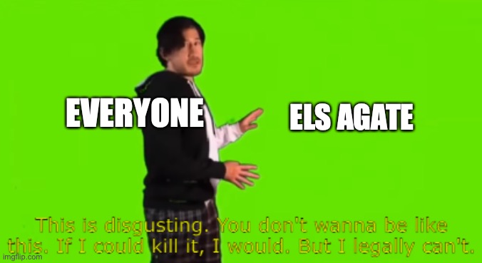 I really hate els agate | EVERYONE; ELS AGATE | image tagged in markiplier this is disgusting | made w/ Imgflip meme maker