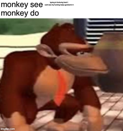 Monkey see monkey do | typing is fuckuing hard i cant see my fucking ketys goddamn it | image tagged in monkey see monkey do | made w/ Imgflip meme maker