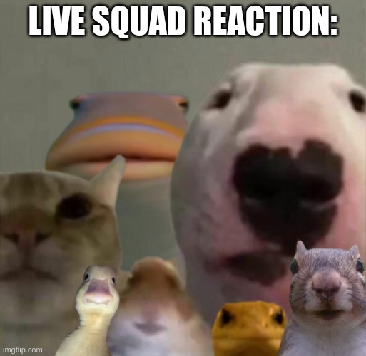 The council remastered | LIVE SQUAD REACTION: | image tagged in the council remastered | made w/ Imgflip meme maker
