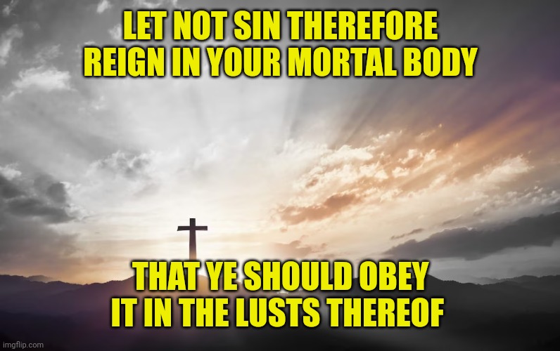Son of God, Son of man | LET NOT SIN THEREFORE REIGN IN YOUR MORTAL BODY; THAT YE SHOULD OBEY IT IN THE LUSTS THEREOF | image tagged in son of god son of man | made w/ Imgflip meme maker
