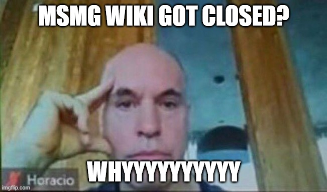 Horacio zoom call | MSMG WIKI GOT CLOSED? WHYYYYYYYYYY | image tagged in horacio zoom call | made w/ Imgflip meme maker