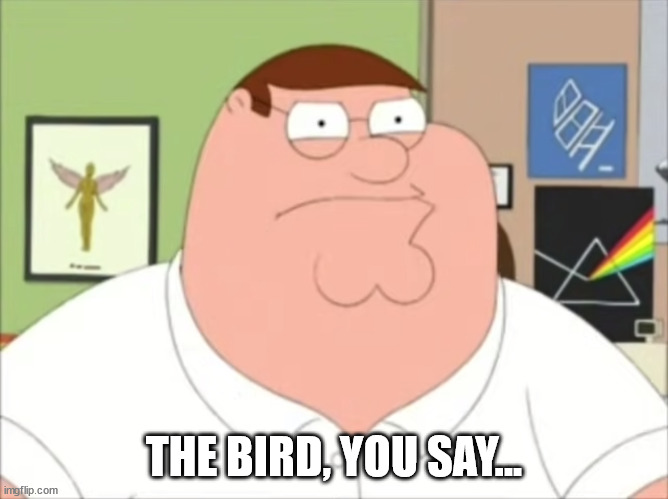 Peter Griffin Surfin Bird | THE BIRD, YOU SAY... | image tagged in peter griffin surfin bird | made w/ Imgflip meme maker