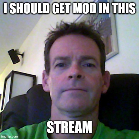 middle aged guy | I SHOULD GET MOD IN THIS; STREAM | image tagged in middle aged guy | made w/ Imgflip meme maker