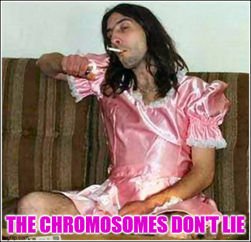 Transgender rights | THE CHROMOSOMES DON'T LIE | image tagged in transgender rights | made w/ Imgflip meme maker
