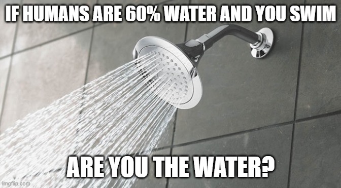 deep thoughts | IF HUMANS ARE 60% WATER AND YOU SWIM; ARE YOU THE WATER? | image tagged in shower thoughts | made w/ Imgflip meme maker