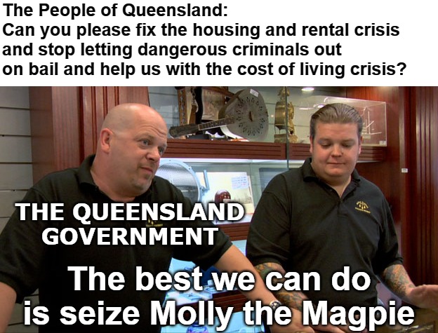 Pawn Stars Best I Can Do | The People of Queensland:            Can you please fix the housing and rental crisis and stop letting dangerous criminals out on bail and help us with the cost of living crisis? THE QUEENSLAND GOVERNMENT; The best we can do is seize Molly the Magpie | image tagged in pawn stars best i can do | made w/ Imgflip meme maker