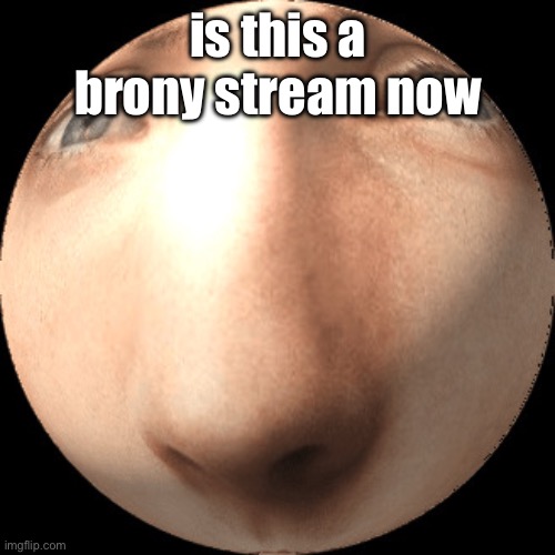 logan ball | is this a brony stream now | image tagged in logan ball | made w/ Imgflip meme maker