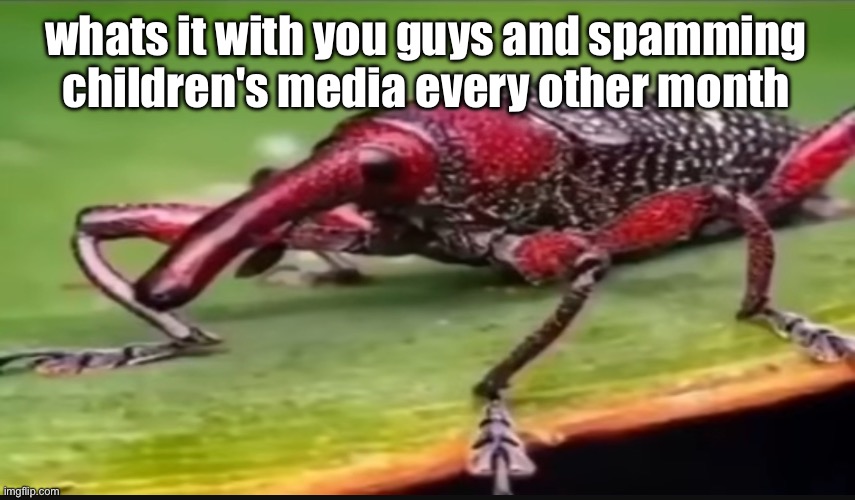 bug | whats it with you guys and spamming children's media every other month | image tagged in bug | made w/ Imgflip meme maker