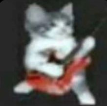 HES PLAYING Mindless Self Indulgence - Born To Be Beheaded | made w/ Imgflip meme maker