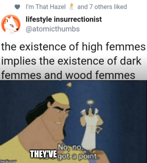 THEY'VE | image tagged in dnd,feminist,no no hes got a point | made w/ Imgflip meme maker