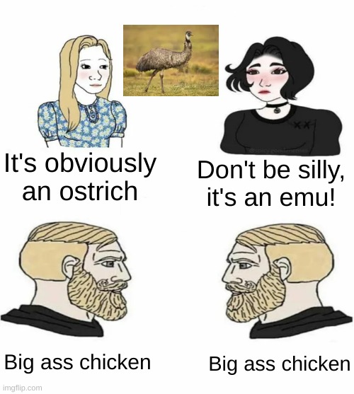 Emu or ostrich? | It's obviously an ostrich; Don't be silly, it's an emu! Big ass chicken; Big ass chicken | image tagged in boys vs girls | made w/ Imgflip meme maker
