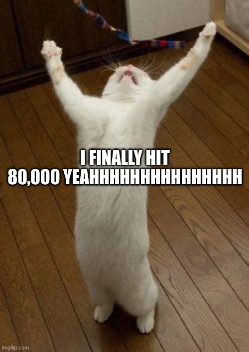 HELL YEAH 80,000!!! THANK YOU ALL SO MUCH! | I FINALLY HIT 80,000 YEAHHHHHHHHHHHHHHH | image tagged in hooray cat | made w/ Imgflip meme maker