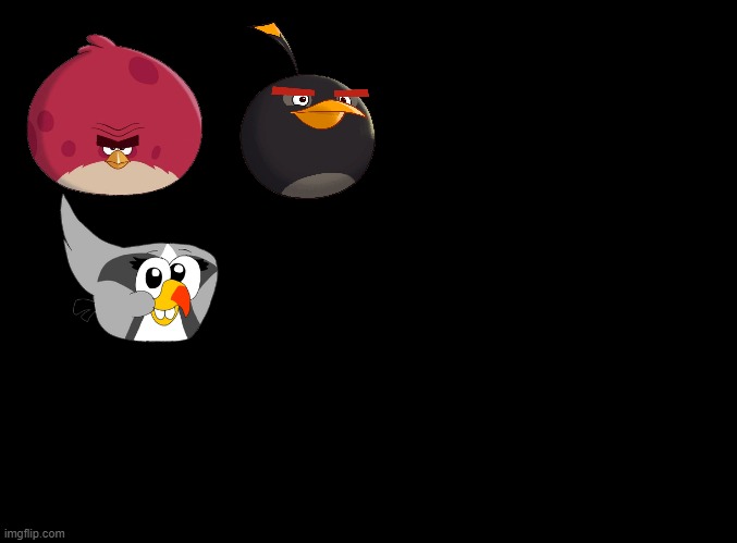 What do these 3 birds all have in common | image tagged in blank black | made w/ Imgflip meme maker