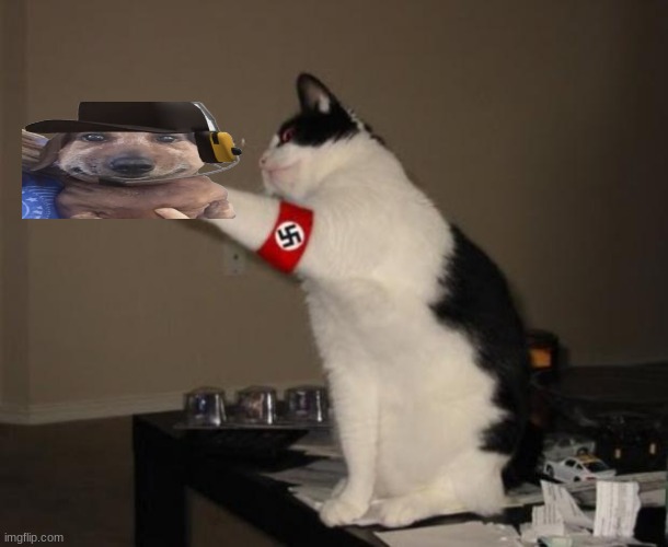 he is holding chucklenuts | image tagged in hitler cat | made w/ Imgflip meme maker