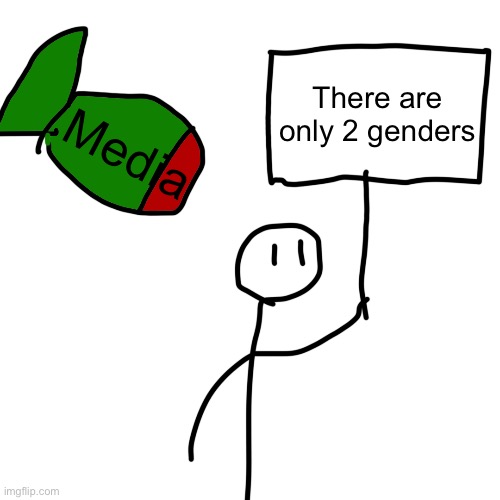 Bombhands. | There are only 2 genders; Media | image tagged in bombhands | made w/ Imgflip meme maker