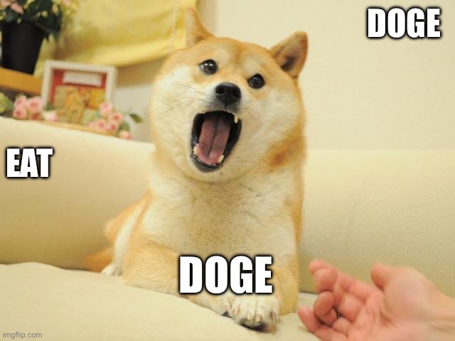 OMNOM | DOGE; EAT; DOGE | image tagged in doge | made w/ Imgflip meme maker