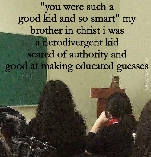does this fit | "you were such a good kid and so smart" my brother in christ i was a nerodivergent kid scared of authority and good at making educated guesses | image tagged in cat professor | made w/ Imgflip meme maker