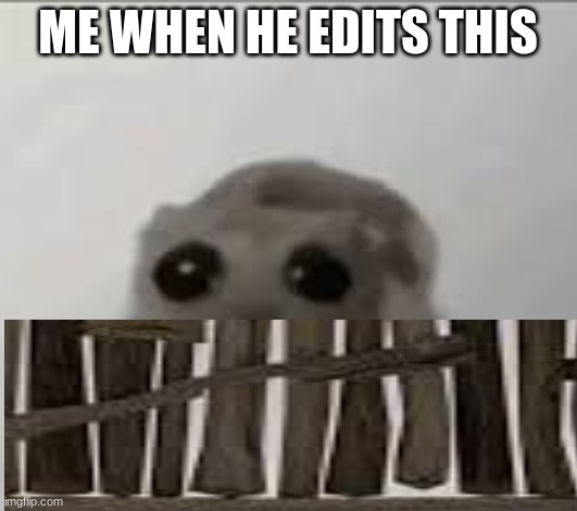 ME WHEN HE EDITS THIS | image tagged in pie charts | made w/ Imgflip meme maker